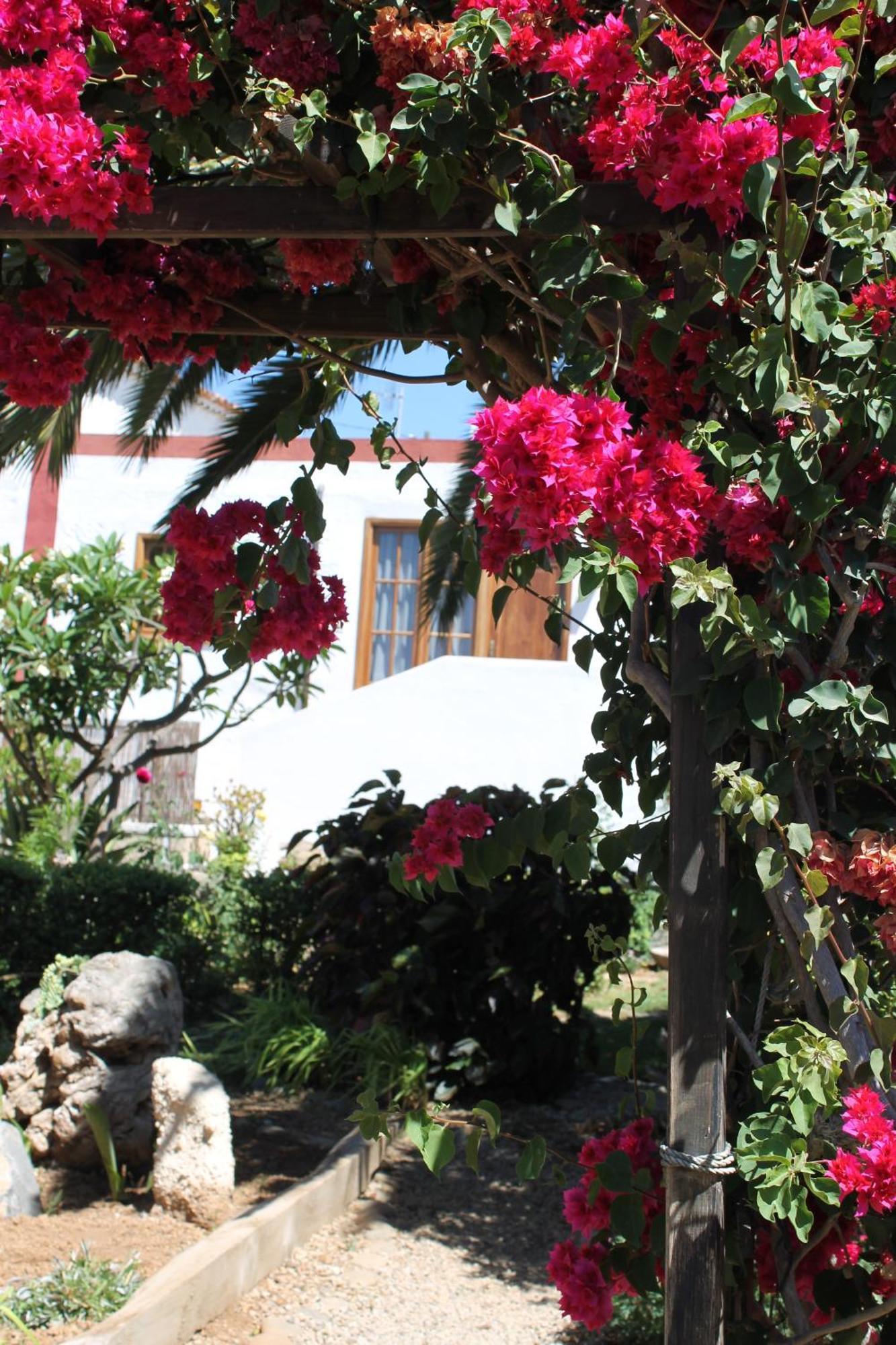 Casa Rural Anton Piche With Pool-Adults Only Гранадиля де Абона Екстериор снимка