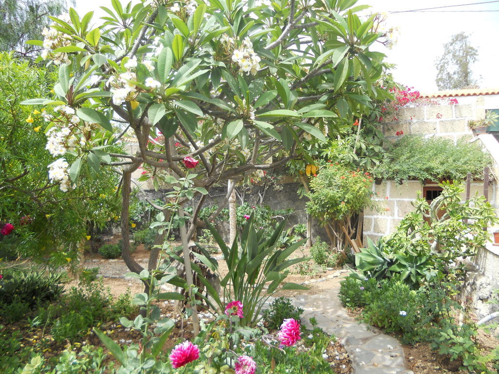 Casa Rural Anton Piche With Pool-Adults Only Гранадиля де Абона Екстериор снимка